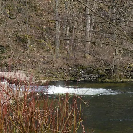 Parc Dirbach